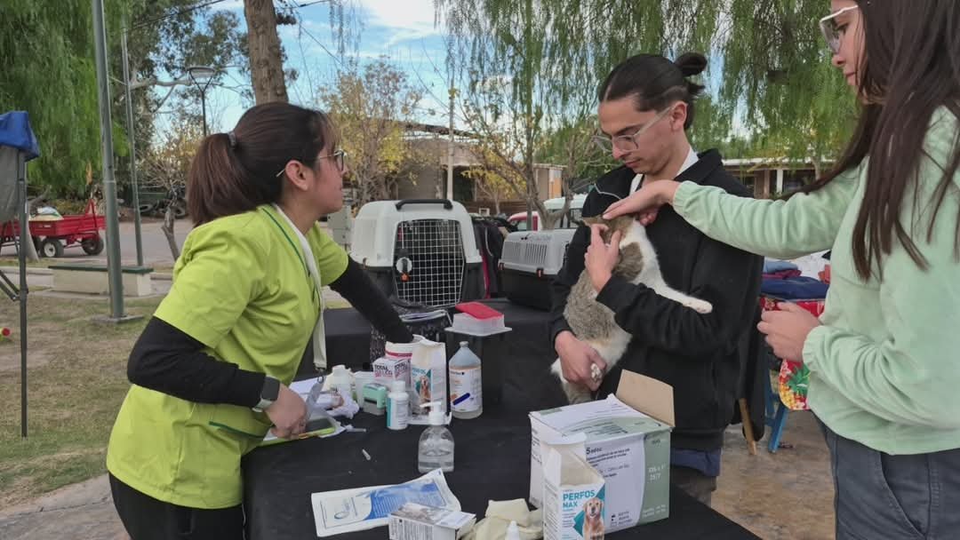 San Martín celebró el Día del Perro Sin Raza con compromiso, amor y conciencia ambiental