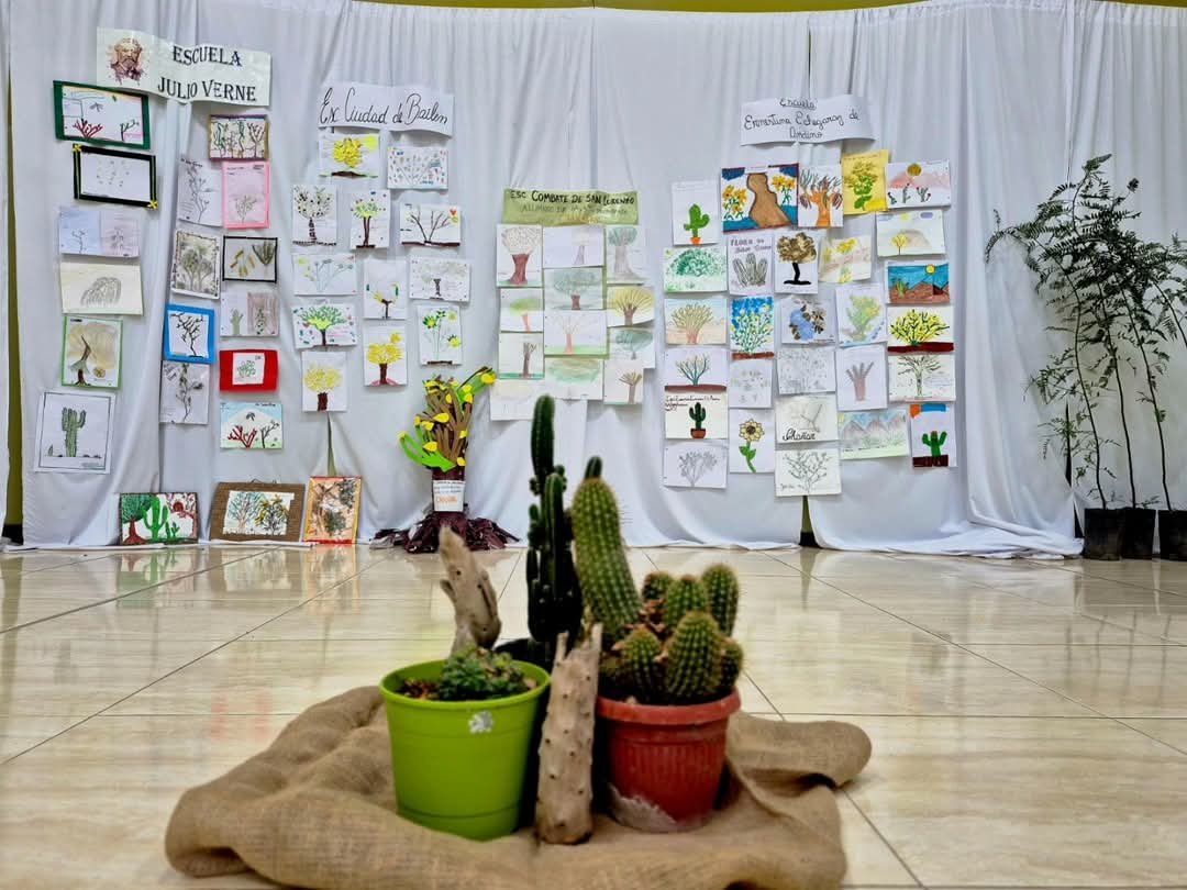 Arte, naturaleza y conciencia: se inauguró “Sembrando Raíces” en San Martín