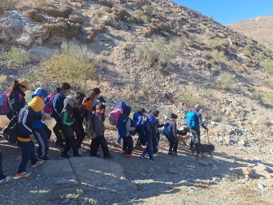 Estudiantes de la Escuela Ernestina Echegaray de Andino vivieron una experiencia educativa en la naturaleza