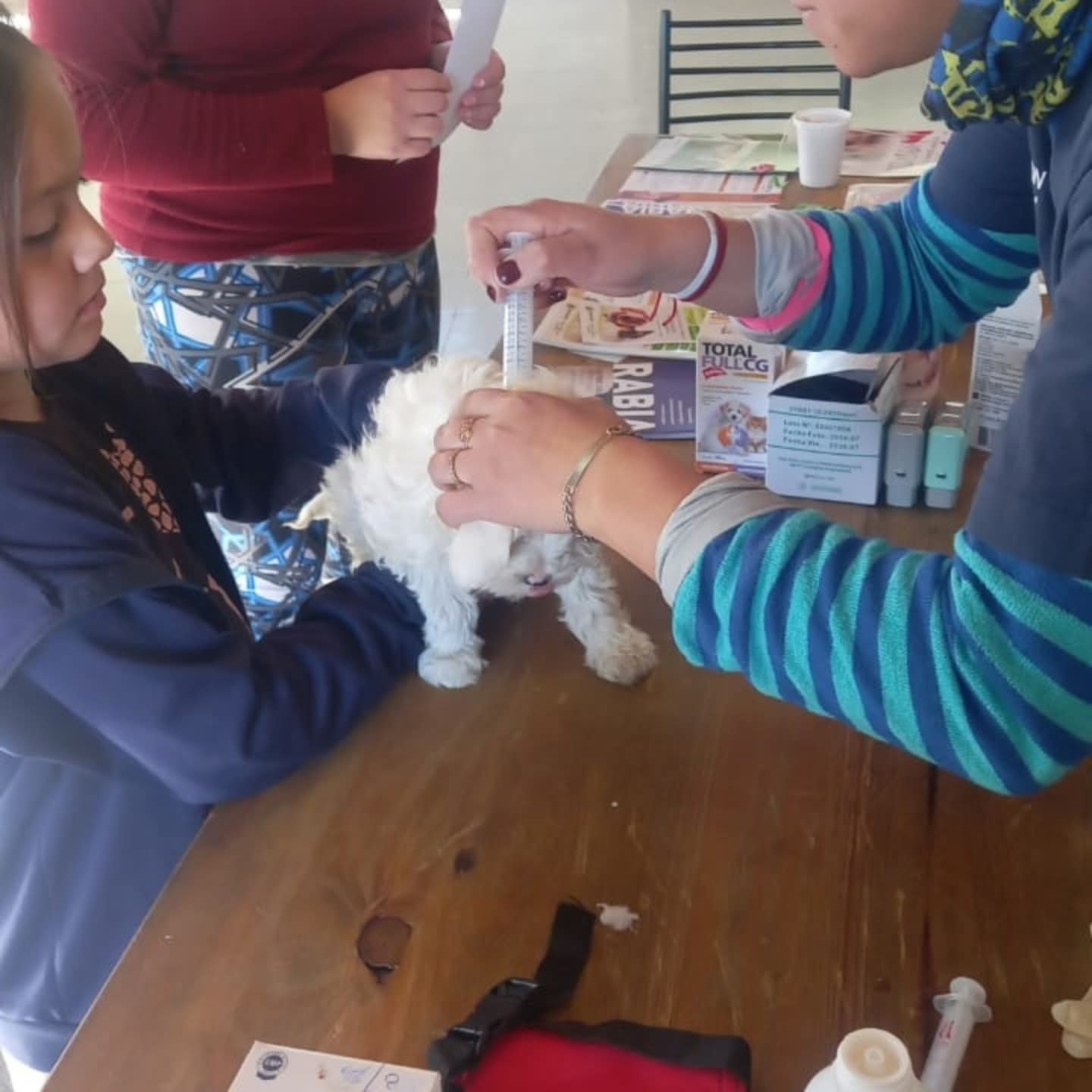 San Martín continúa promoviendo el cuidado responsable de mascotas