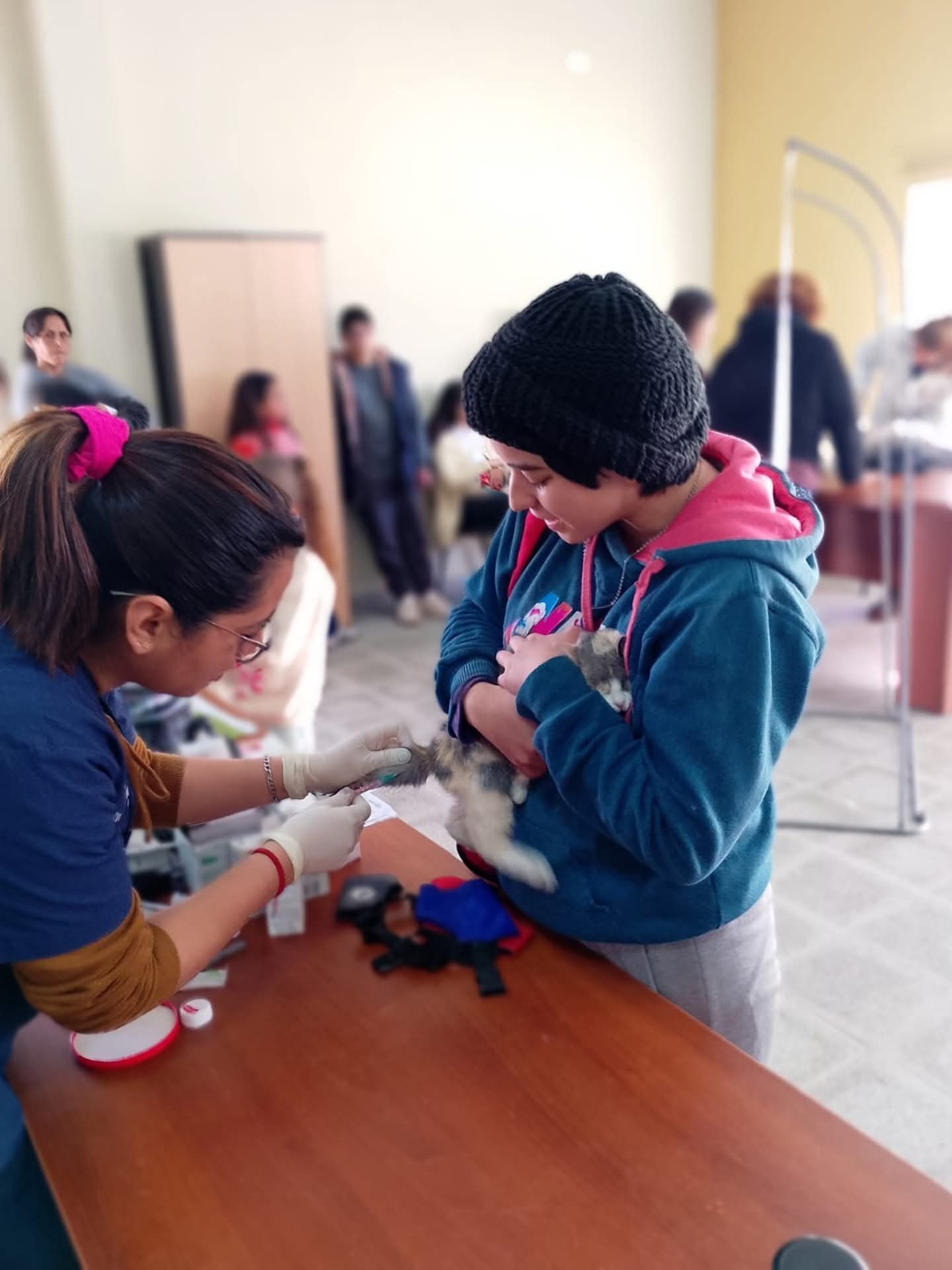 Nueva jornada de atención veterinaria gratuita en San Martín