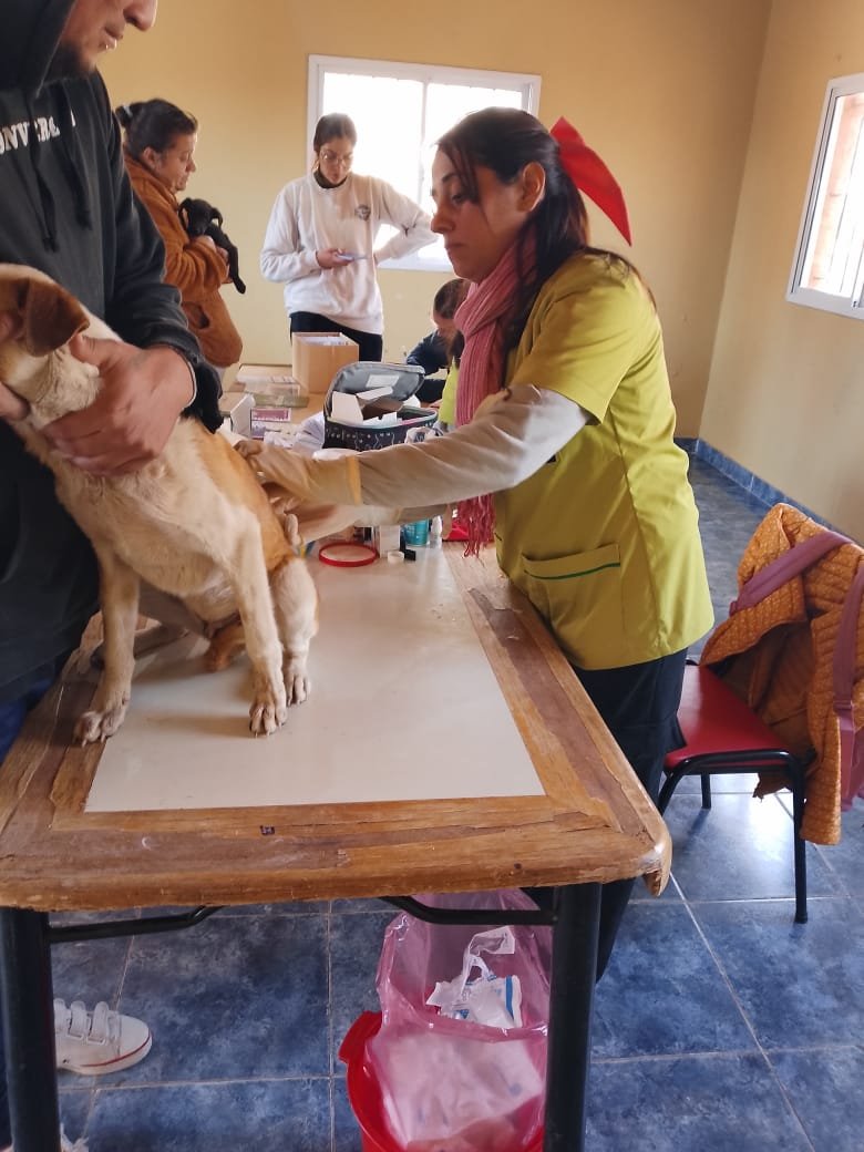 San Martín continúa promoviendo el bienestar animal con nuevas jornadas sanitarias