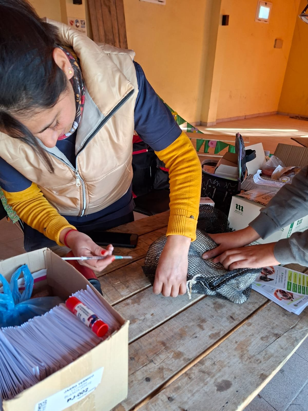 San Martín continúa promoviendo la salud animal con operativos gratuitos en los barrios