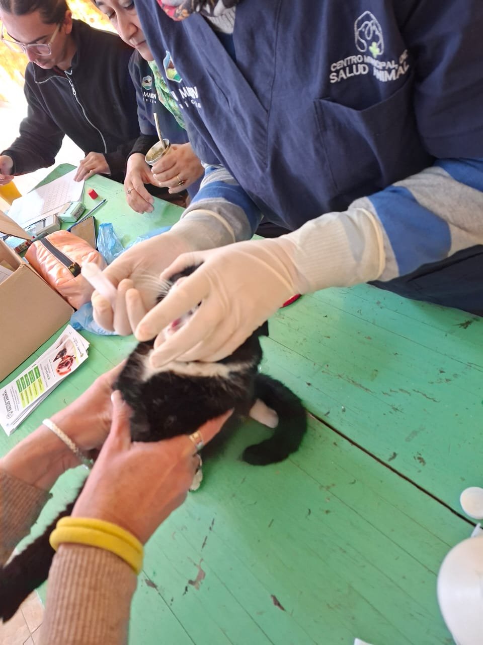 La salud animal también llega a cada barrio