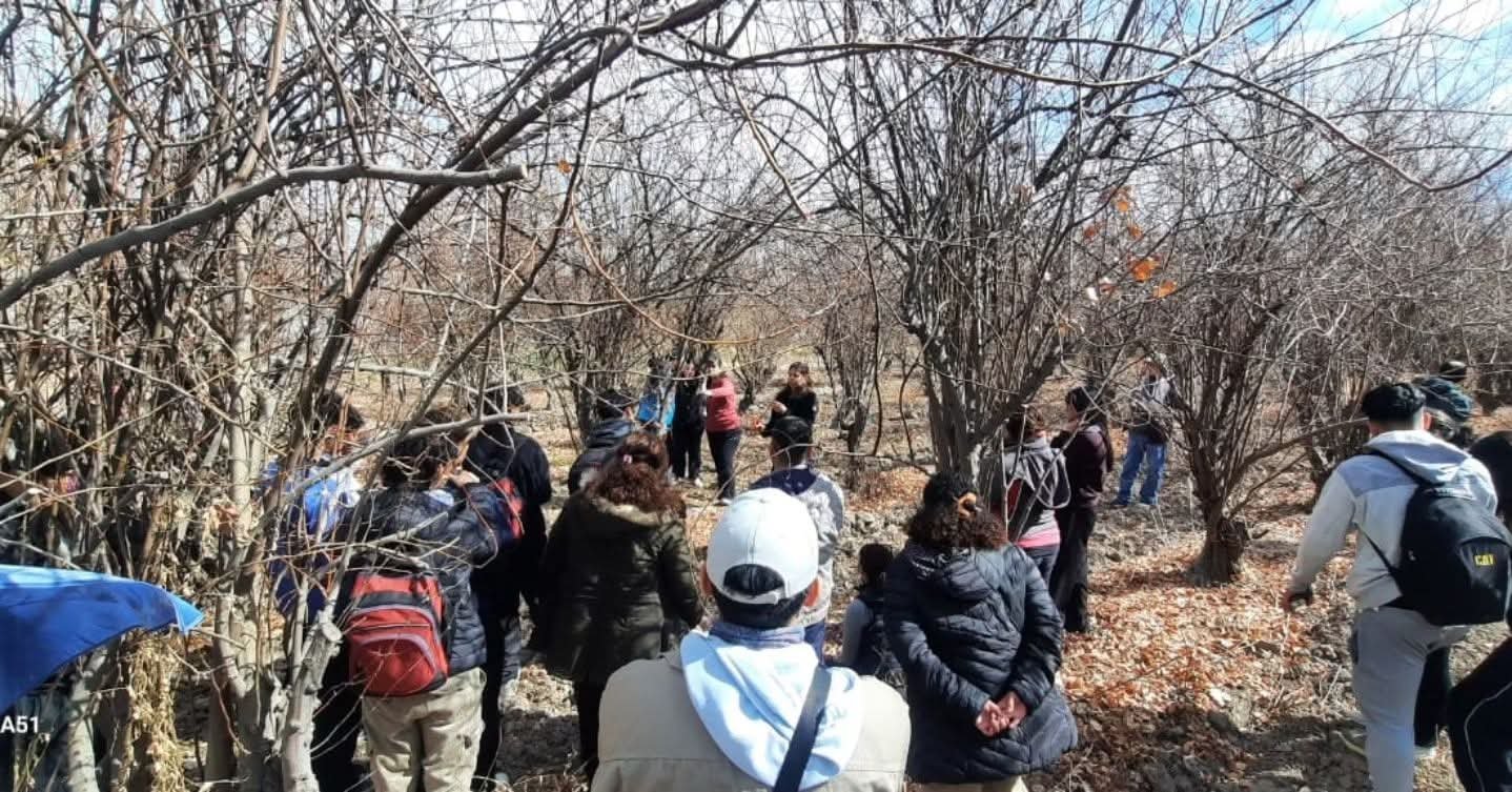 San Martín realizó una capacitación sobre poda e injerto