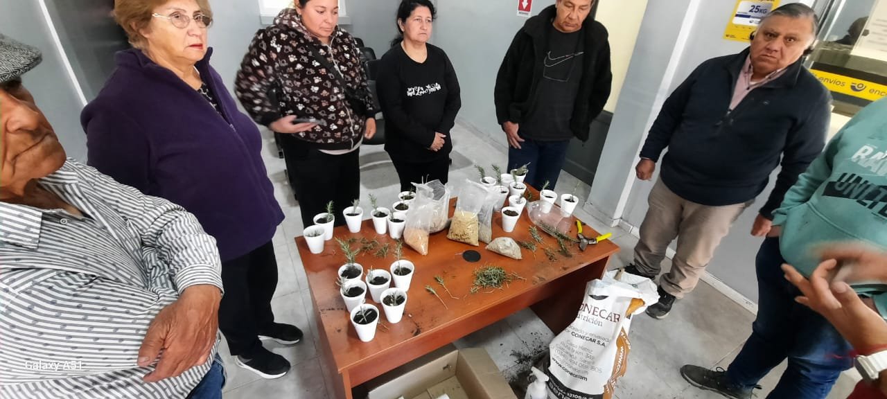 Taller de armado de plantines en San Martín