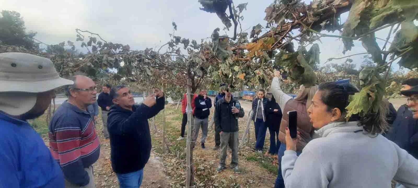 San Martín participó de una jornada de capacitación para fortalecer la vitivinicultura regional